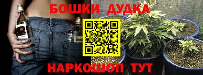 дурь Заводоуковск